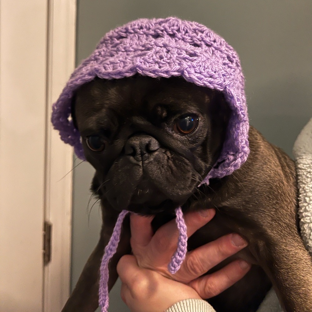 Crocheted Baby Bonnet